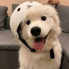 Rizky Hidayat avatar