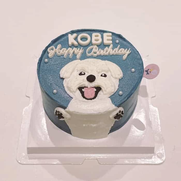 Nella Kharisma avatar